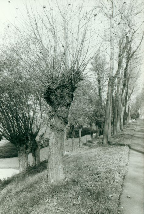 Landschap