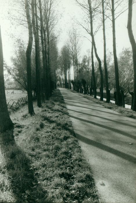 Landschap