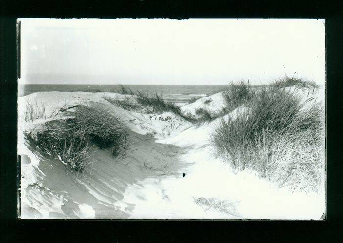 Landschap
