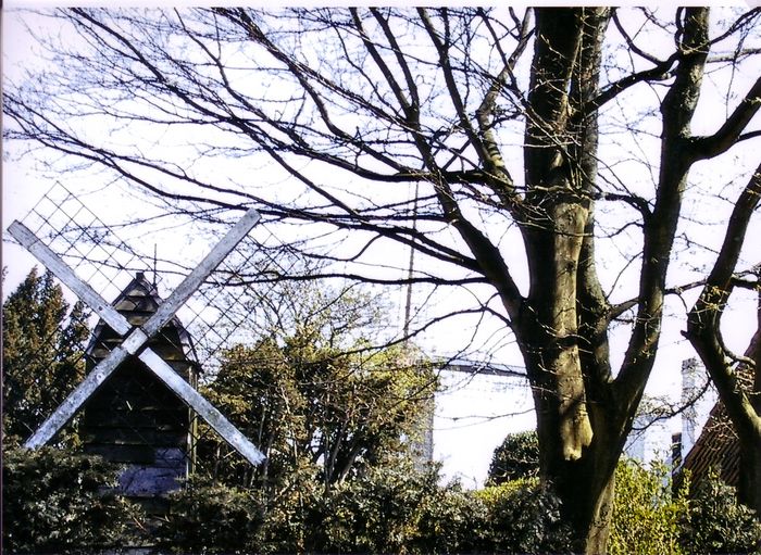 Molen