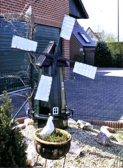 Molen