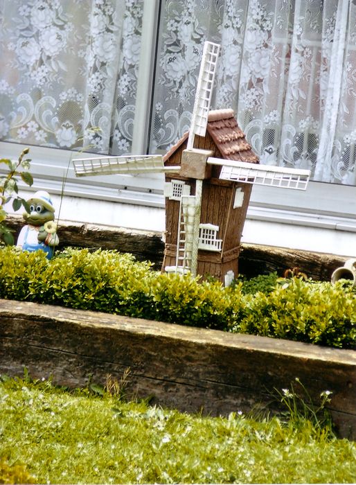 Molen