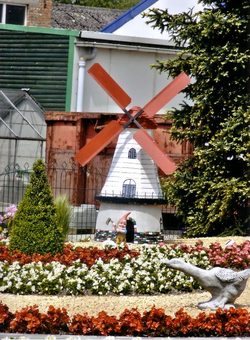 Molen