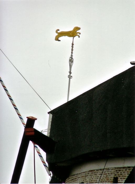 Windwijzer
