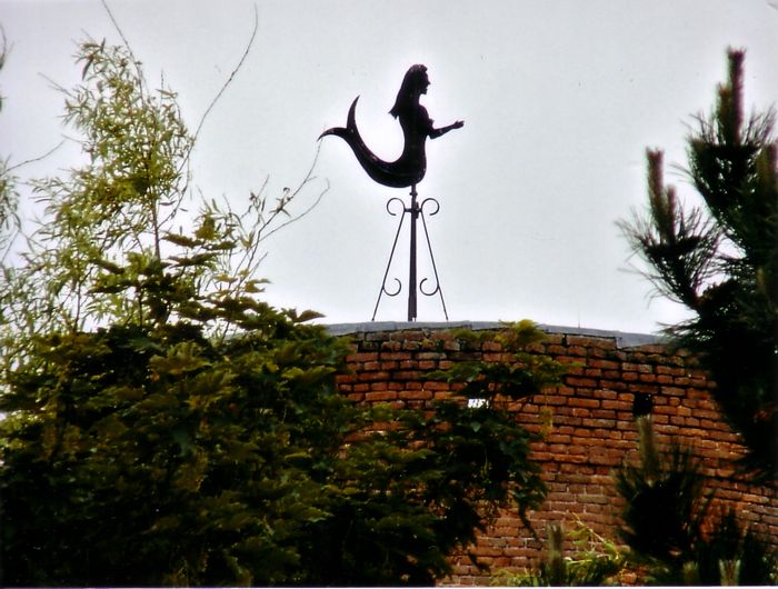 Windwijzer