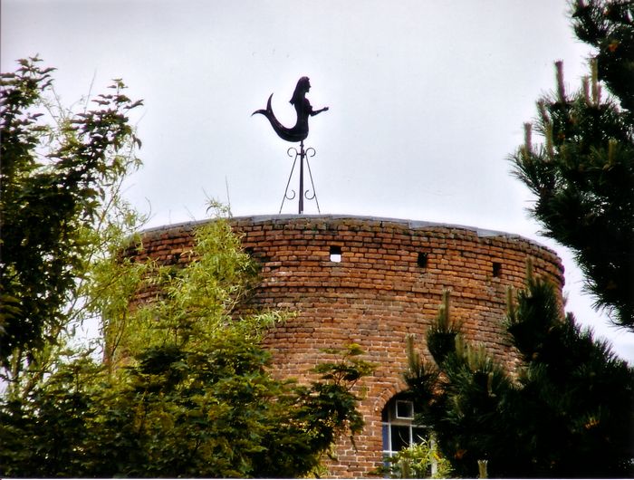 Windwijzer
