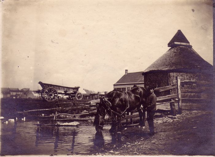 Molen