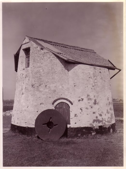 Molen