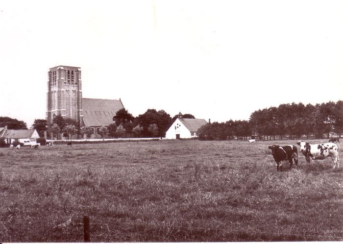 Landschap