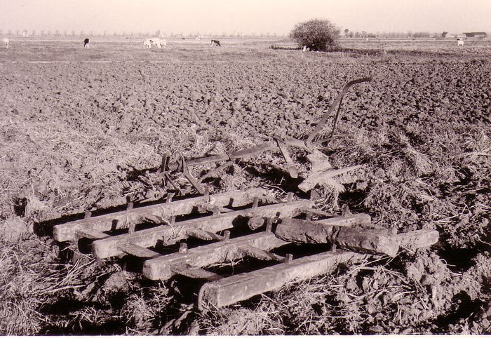Landbouw