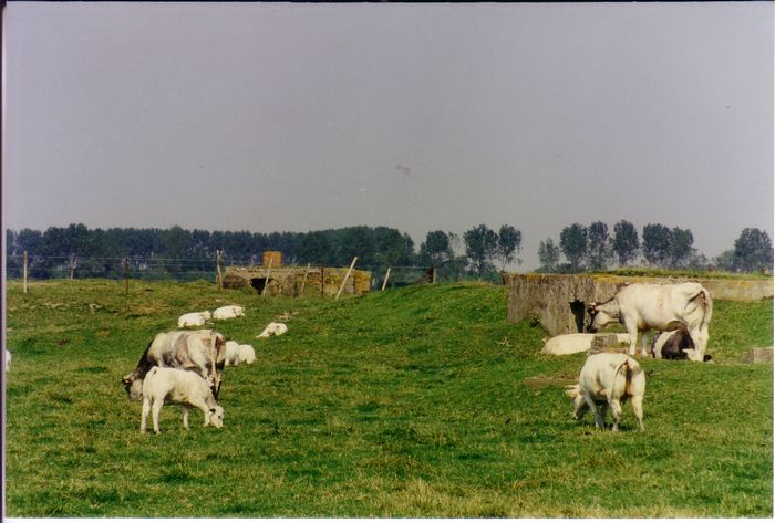 Landbouw