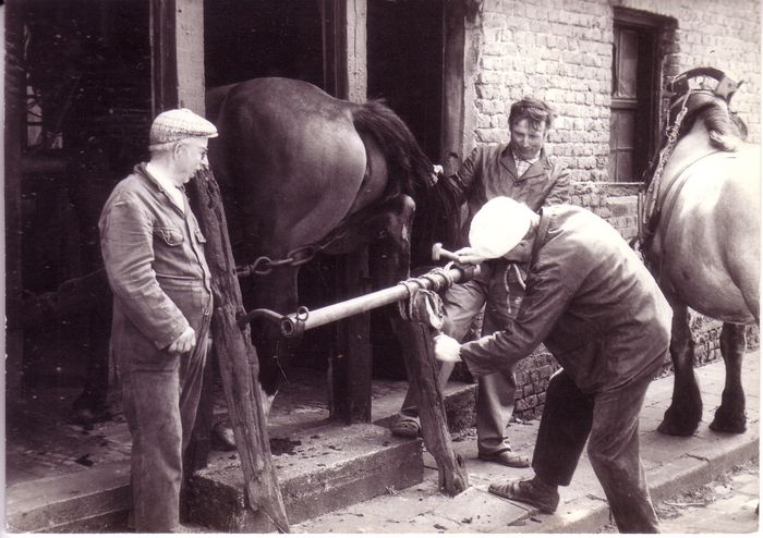 Paardensmid