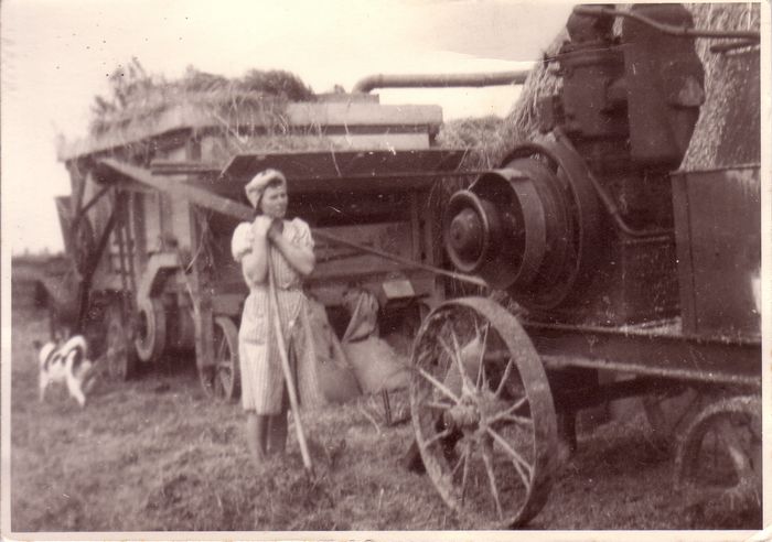 Dorsmachine