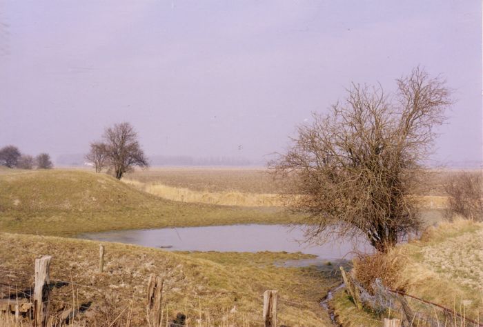 Landschap