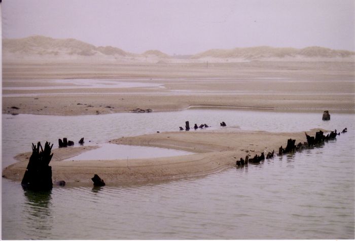 Landschap