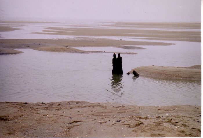 Landschap