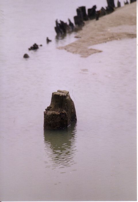 Landschap