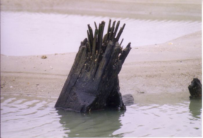 Landschap