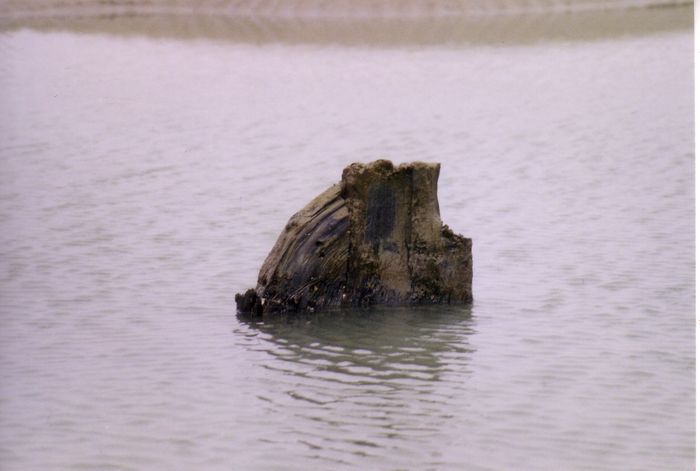 Landschap