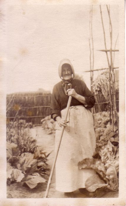 Foto