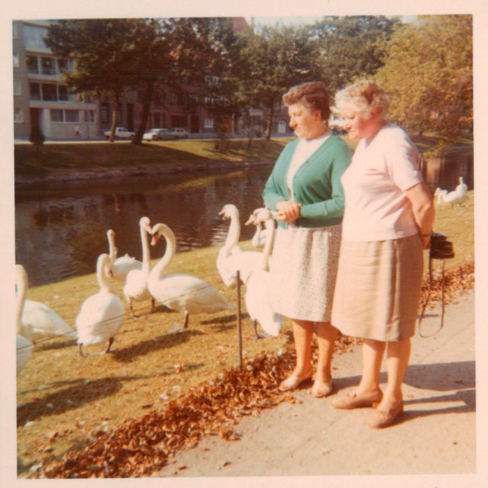 Foto