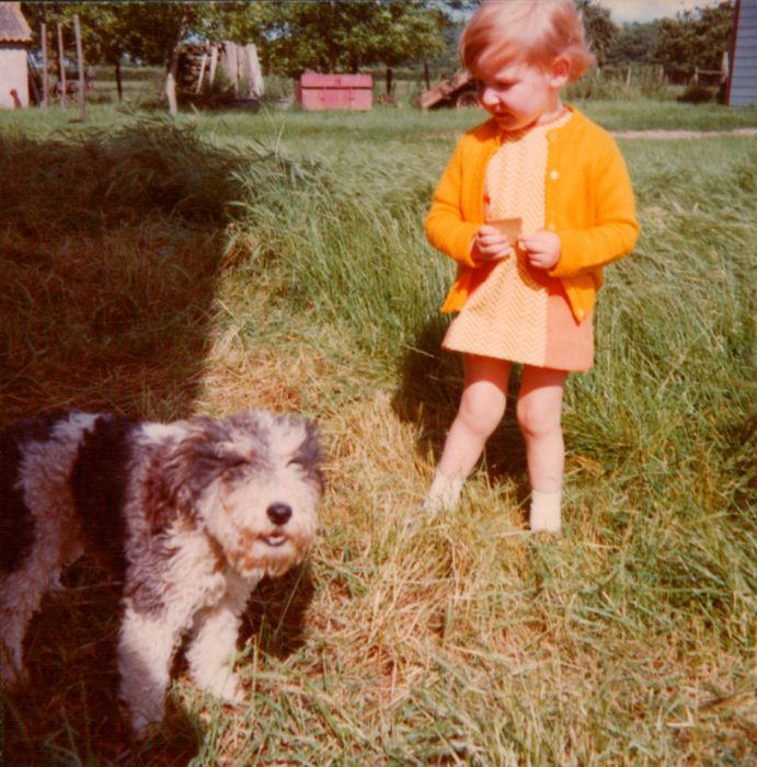 Foto