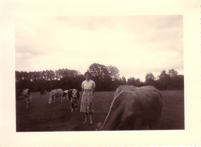 Foto