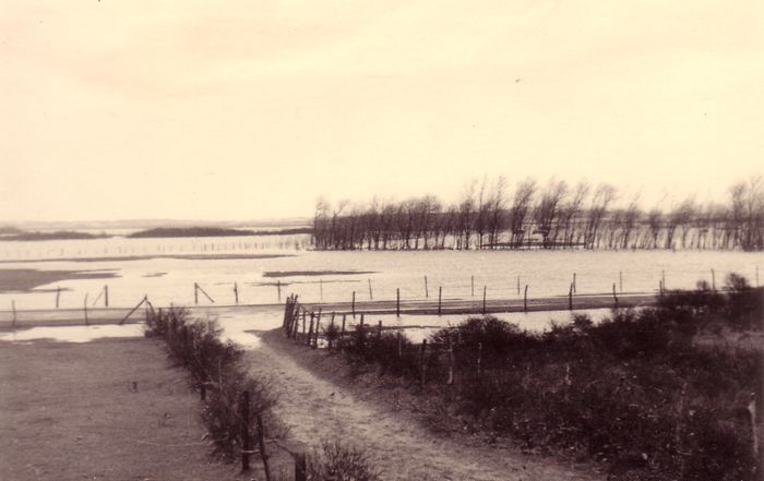 Dijkbreuk