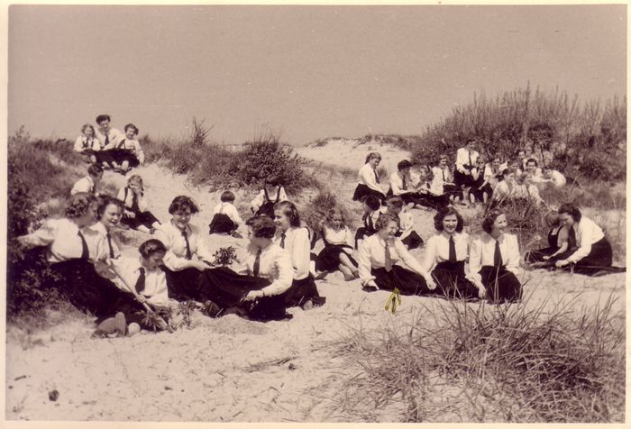 Duinen