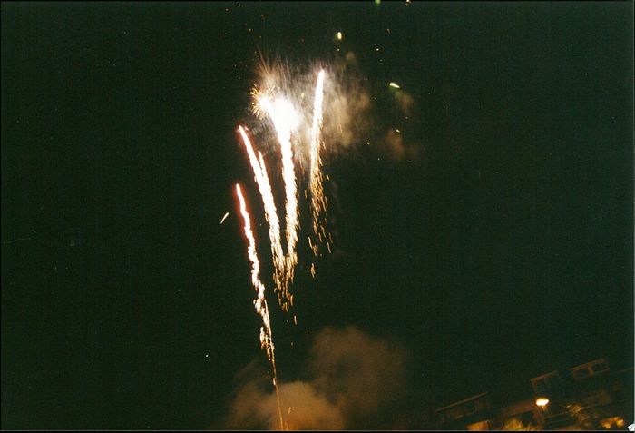 Festiviteit