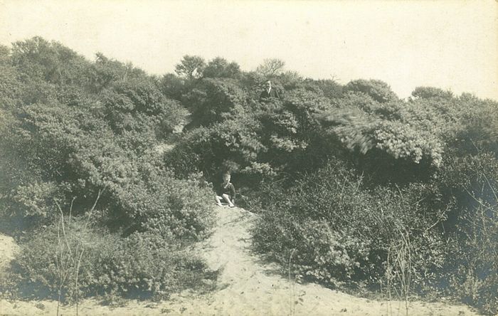 Natuur