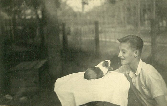 Foto