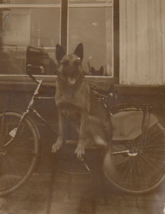 Foto