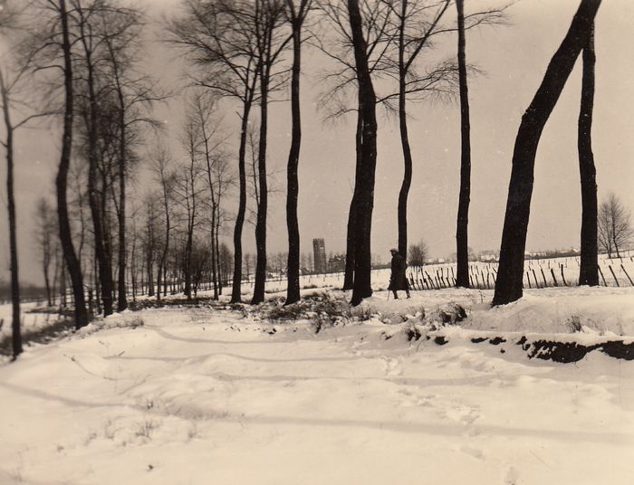 Landschap
