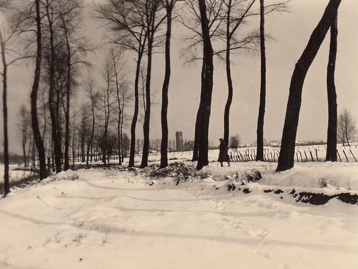 Landschap