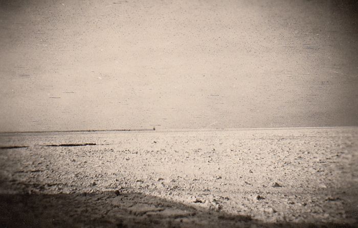 Landschap