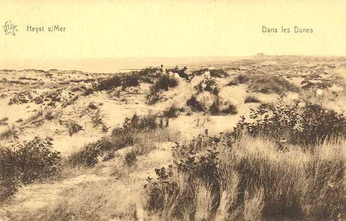 Heyst s/Mer, Dans les Dunes