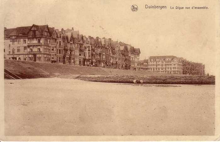 Duinbergen, La Digue vue d'ensemble