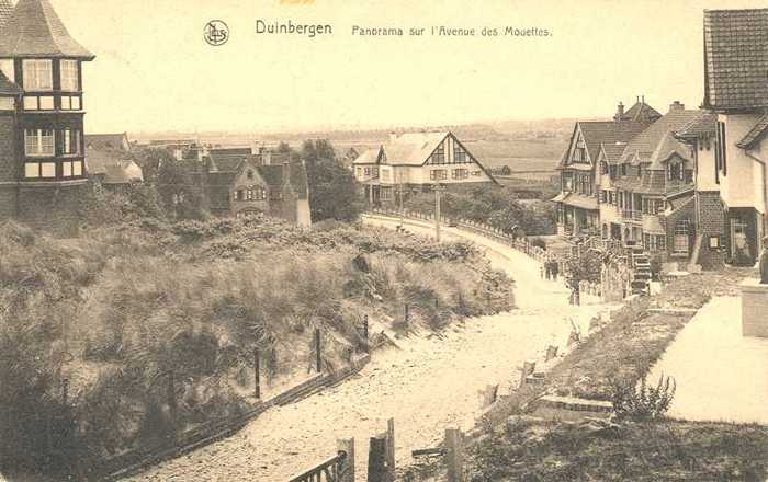 Duinbergen, Panorama sur L'Avenue des Mouettes