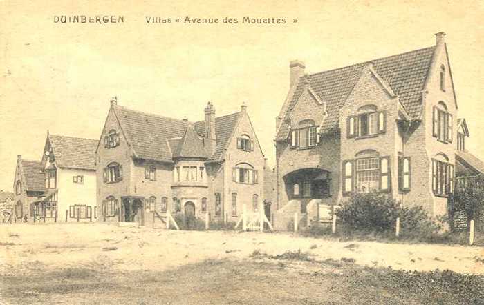 Duinbergen, Villas Avenue des Mouettes