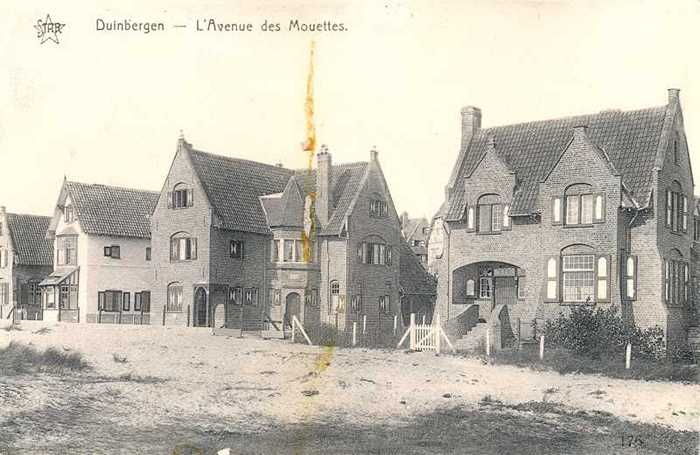 Duinbergen, L'avenue des Mouettes