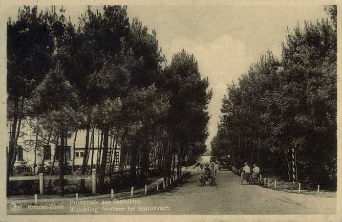 Knocke-Zoute - Wandeling doorheen het Sparrebosch