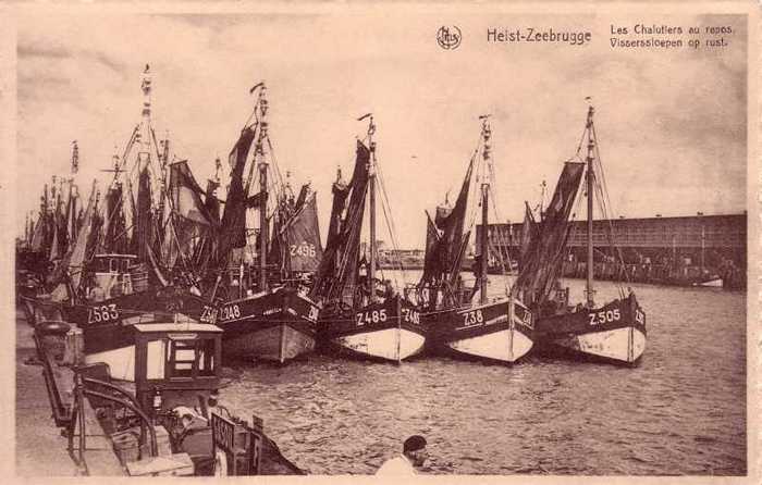 Heist-Zeebrugge - Visserssloepen op rust