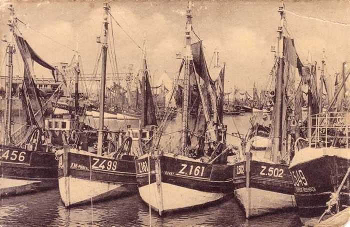 Heist-Zeebrugge - Visserssloepen in de haven
