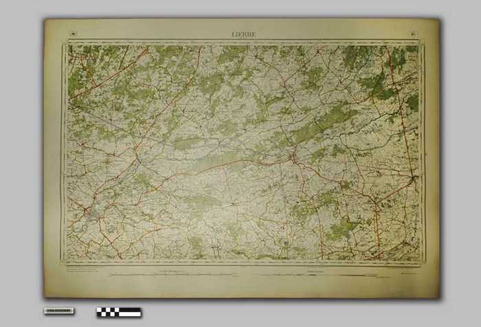 Lierre