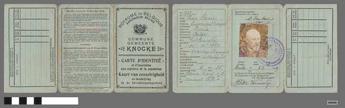 Identiteitskaart - VAN STEENE Ludovicus Francis - 1919