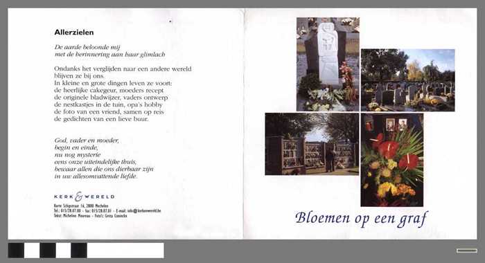 Bloemen op een graf