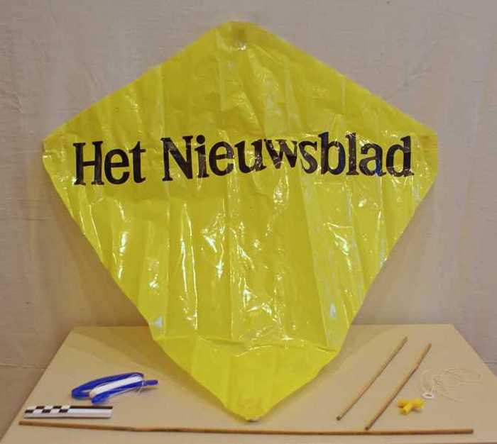 Vlieger