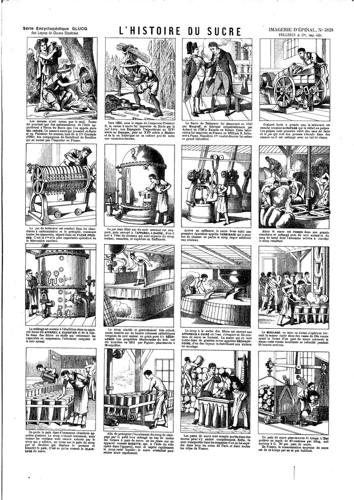 L'histoire du sucre