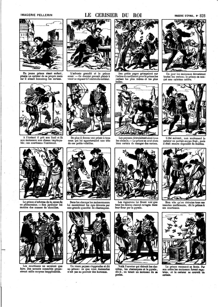 Le cerisier du roi